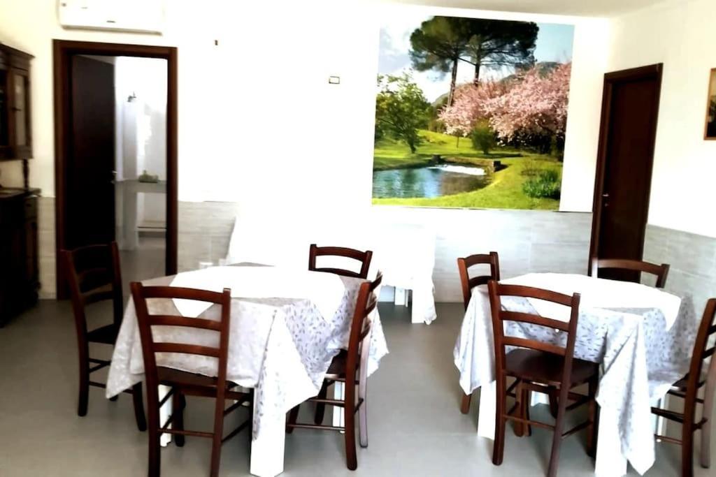 Old Club Casa Vacanze Carlo Trani Aprilia Exterior photo